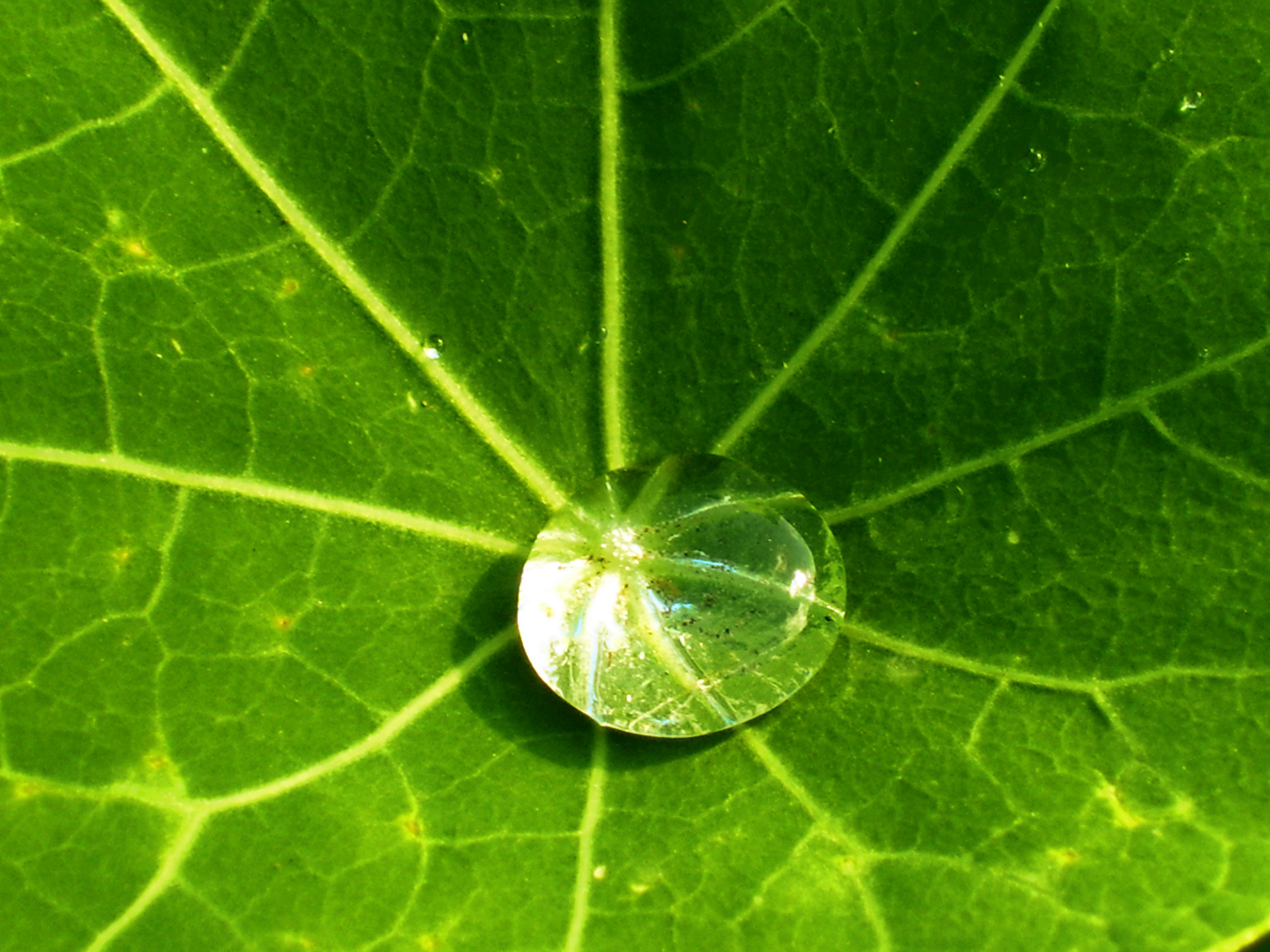 Duurzaam en groen Duurzaam en groen